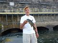 Decent fish